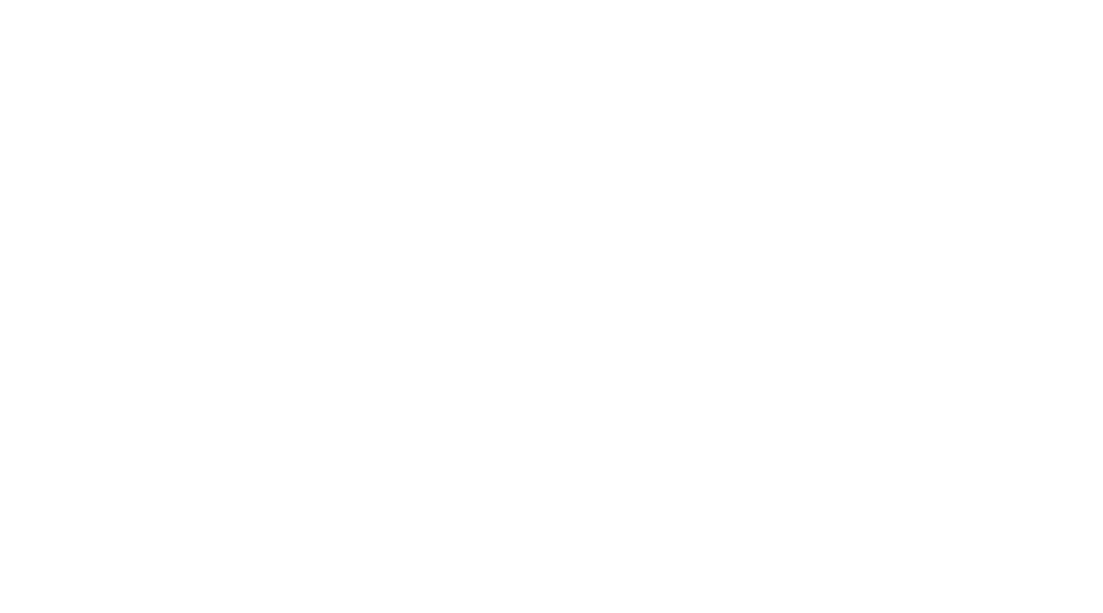 Laurent Legoff Luthier